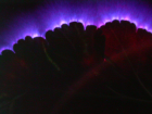 thumbs/pict0006.png