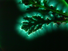 thumbs/pict0020.png