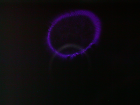 thumbs/pict0001.png