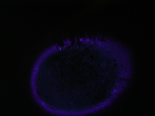 thumbs/pict0018.png