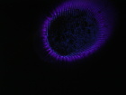 thumbs/pict0019.png
