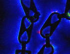 thumbs/im000569.png