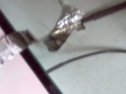 thumbs/im000683.png