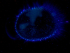 thumbs/im000582.png