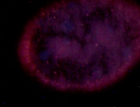 thumbs/im000612.png