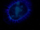 thumbs/im000653.png