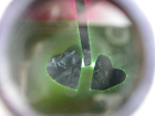 thumbs/pict0060.png