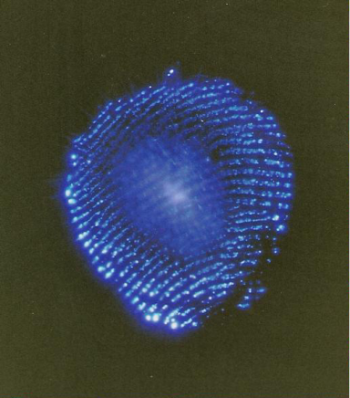 thumbs/kscan_0018.png.png