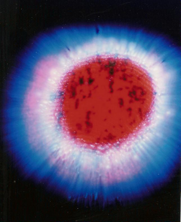 thumbs/kscan_0030.png.png