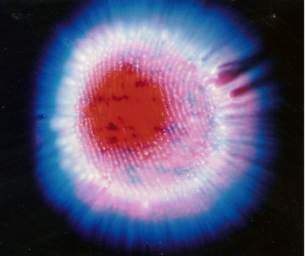thumbs/kscan_0033.png.png