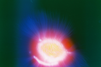 thumbs/f1000014.jpg.png