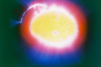 thumbs/f1000017.jpg.png