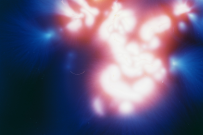 thumbs/f1000019.jpg.png
