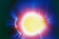thumbs/f1000022.jpg.png