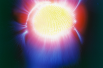 thumbs/f1000023.jpg.png