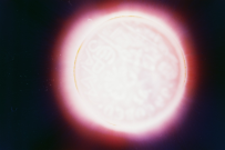 thumbs/f1000036.jpg.png